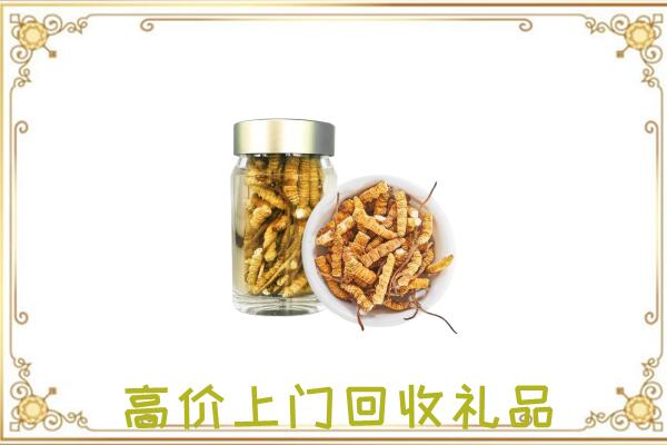 白云周边回收虫草
